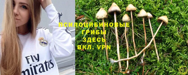 Псилоцибиновые грибы Magic Shrooms  Гай 